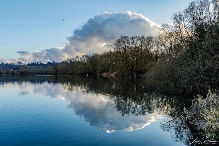 Spade Oak - Little Marlow